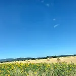 別荘 Casa Bartali キウズディーノ