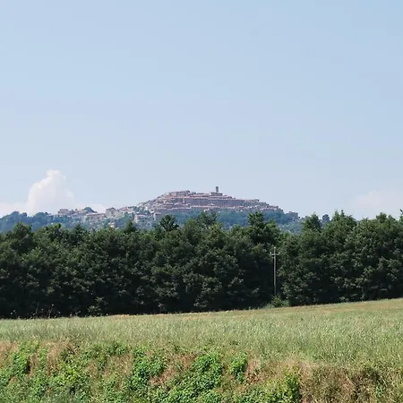 Casa Bartali Σπίτι διακοπών Chiusdino