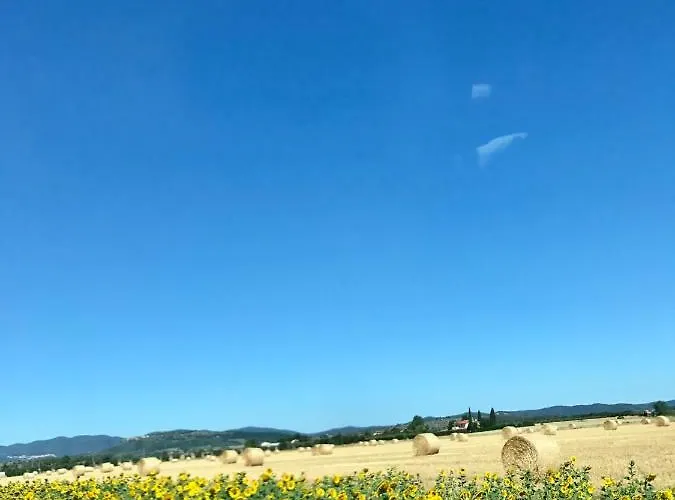 別荘 Casa Bartali キウズディーノ