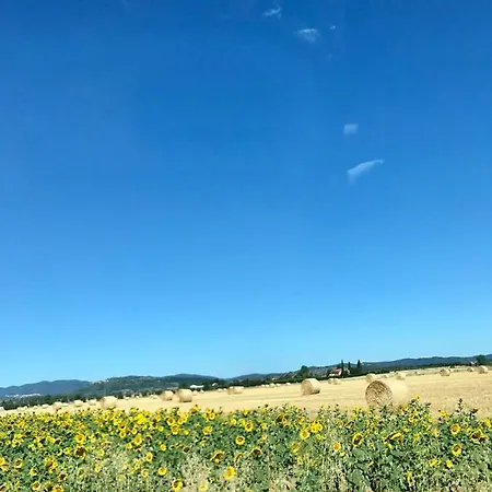 別荘 Casa Bartali キウズディーノ